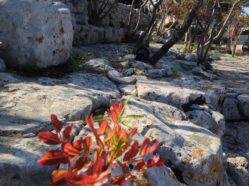Villa Giuseppina Monopoli Bagian luar foto